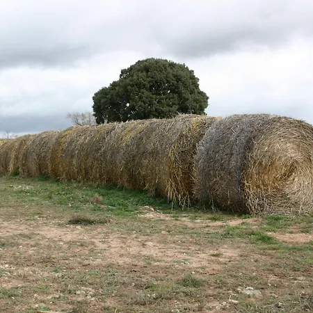 Rural Sierra De Gudar Hétvégi ház *